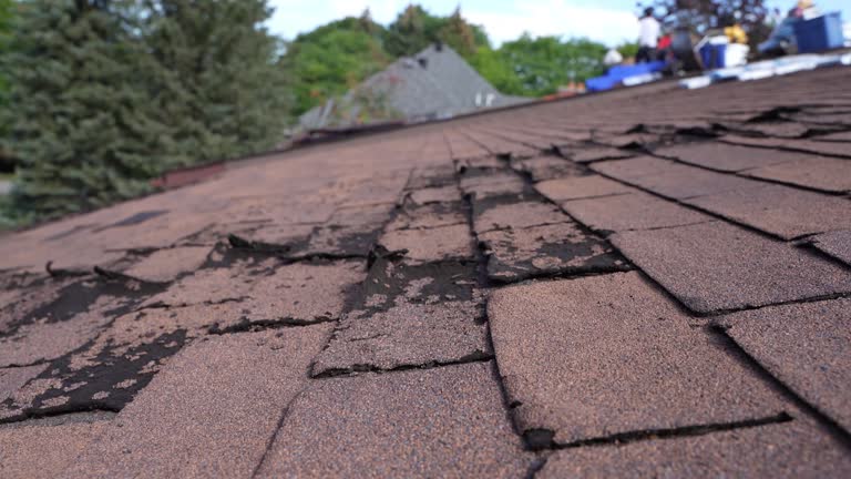 Best 4 Ply Roofing  in Brooklyn, OH